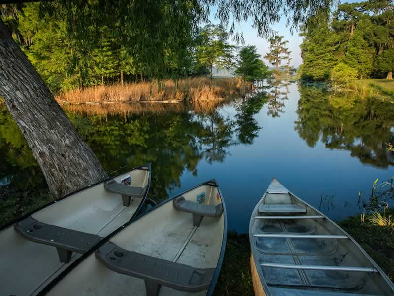 Louisiana swamp tours near Houma, Thibodaux and City, air boat