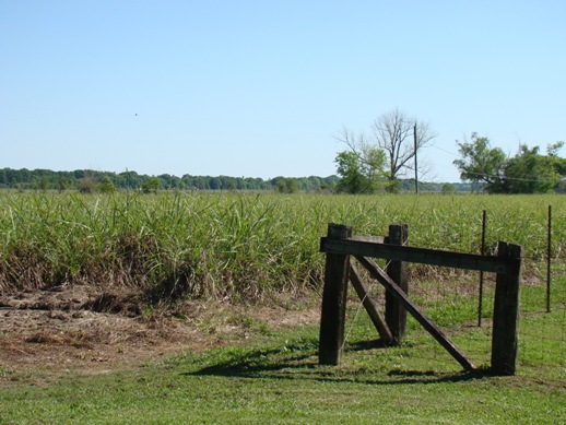 Labadieville Louisiana and Bayou Lafourche, travel, tourism
