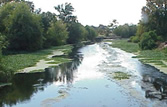 Bayou Teche in South Louisiana