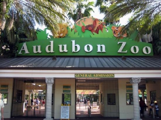 The Audubon Zoo in New Orleans