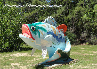 Big fish from Toledo Bend Reservoir in Louisiana