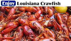 Boiled Louisiana Crawfish from the Atchafalaya Swamp ... it's nearly crawfish season in Louisiana ... can you taste them? click to learn more about Louisiana crawfish