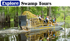 Take a boat tour of the many swamps near Labadieville, Louisiana