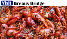 Take a trip to Breaux Bridge in Louisiana, site of the world famous Crawfish Festival