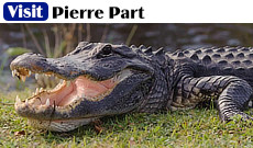 Visit Pierre Part, Louisiana, site of the filming of the hit TV series "Swamp People"